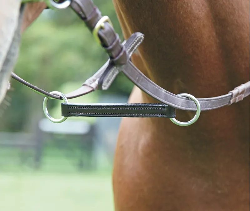 Shires Blenheim Irish Martingale in Black